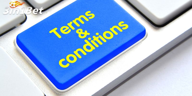 Điều khoản chơi và đặt cược trên 3in1bet